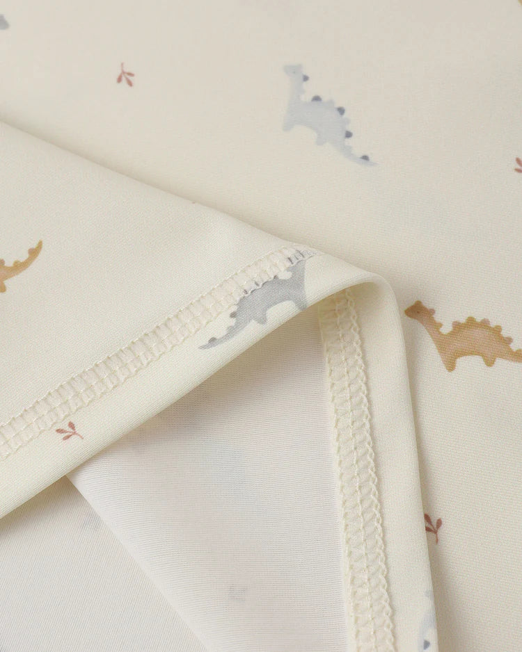 Boys Dino Short 2 Piece Swim Wear Set