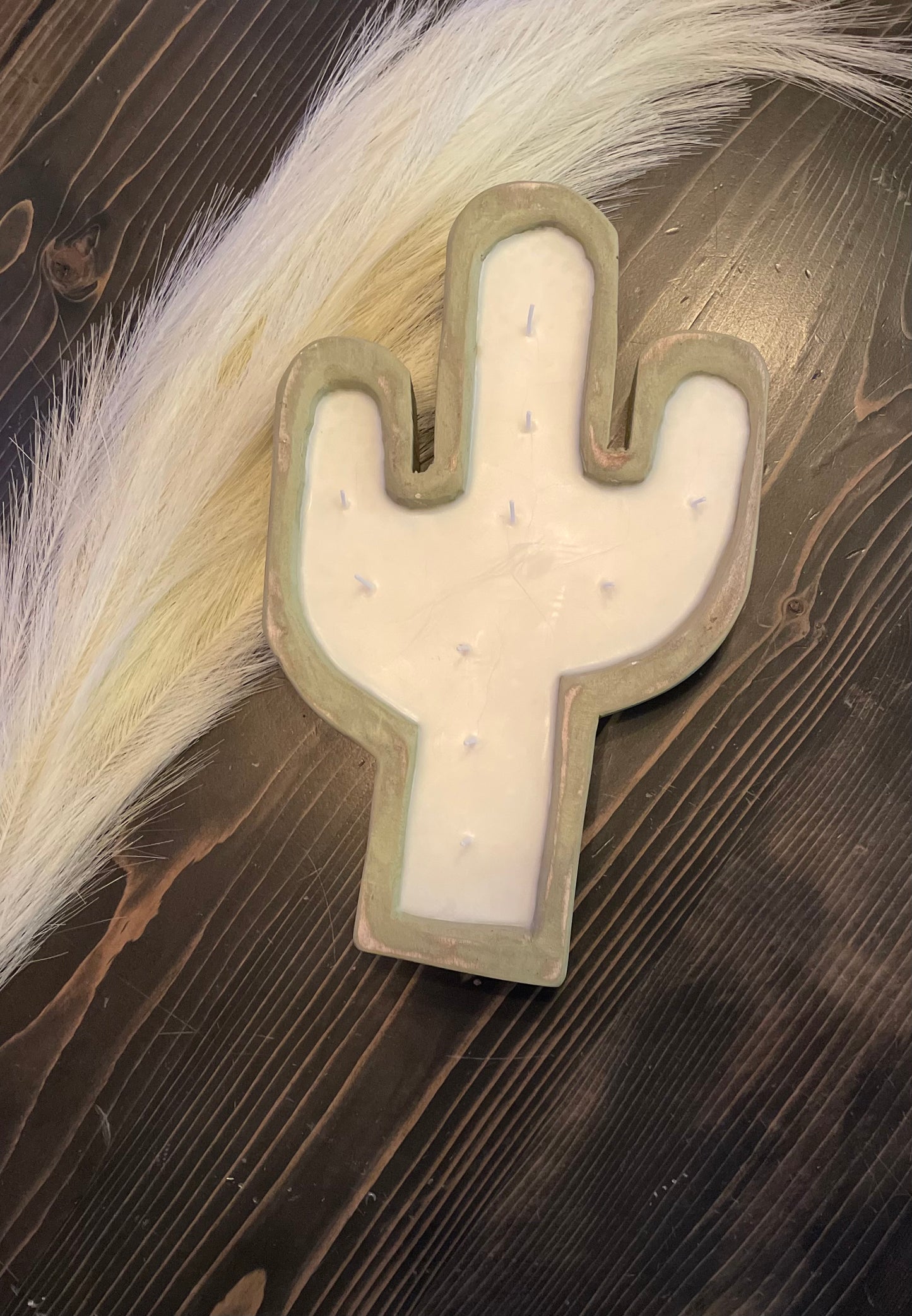 Cactus Candles for the western home