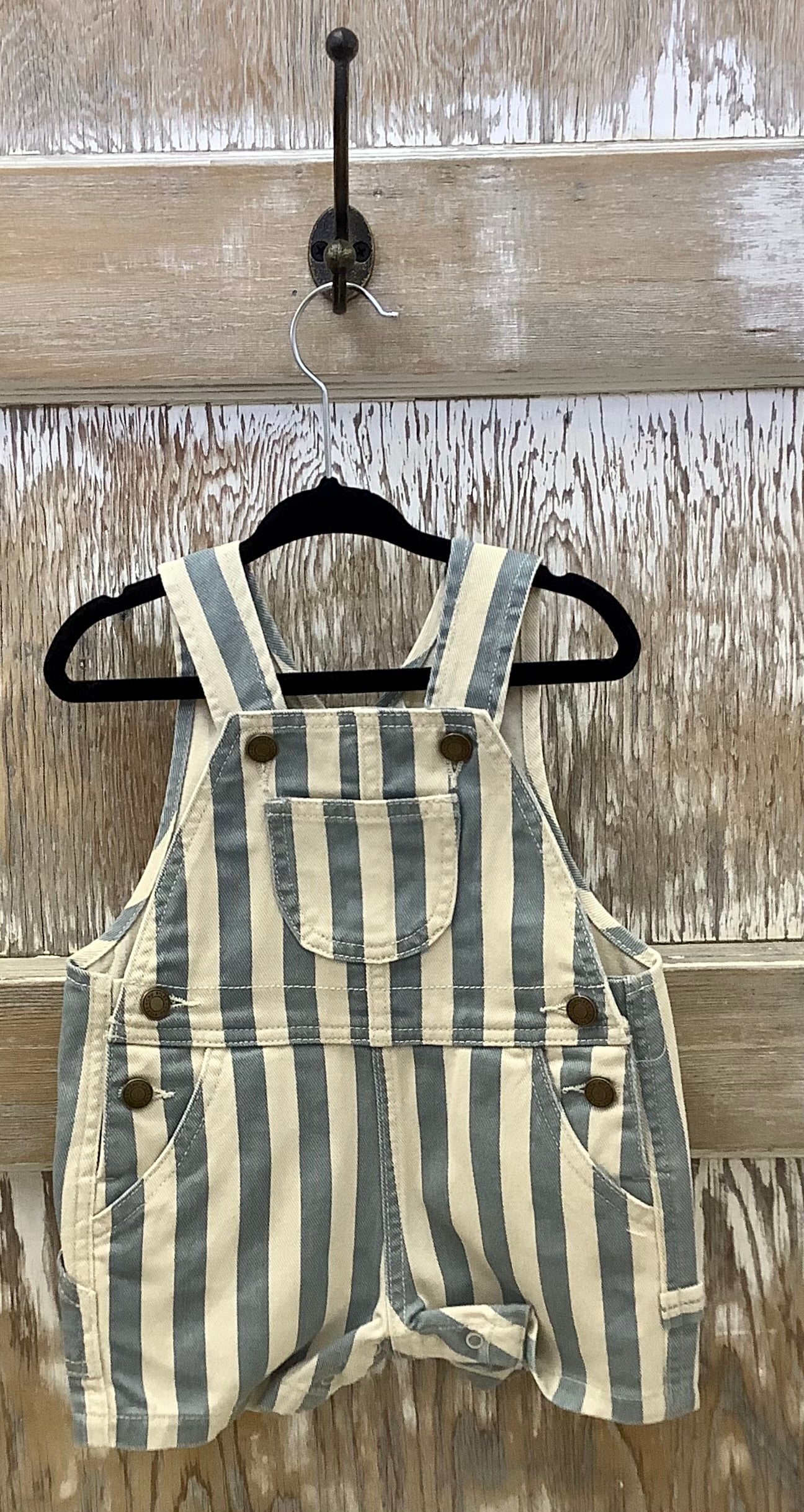 Ocean Stripe Denim Overalls