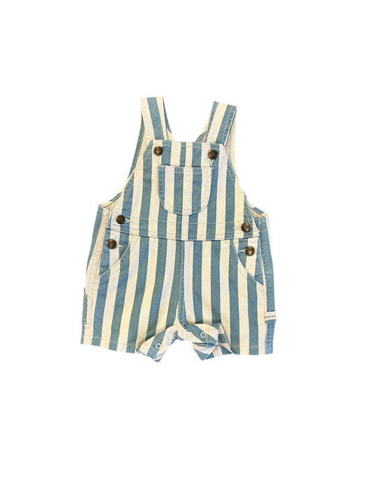 Ocean Stripe Denim Overalls