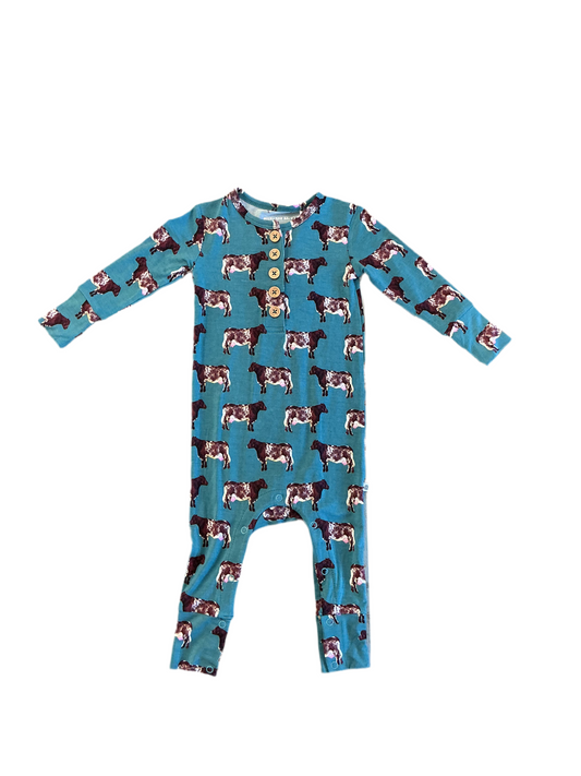 Jacksboro Henley Romper