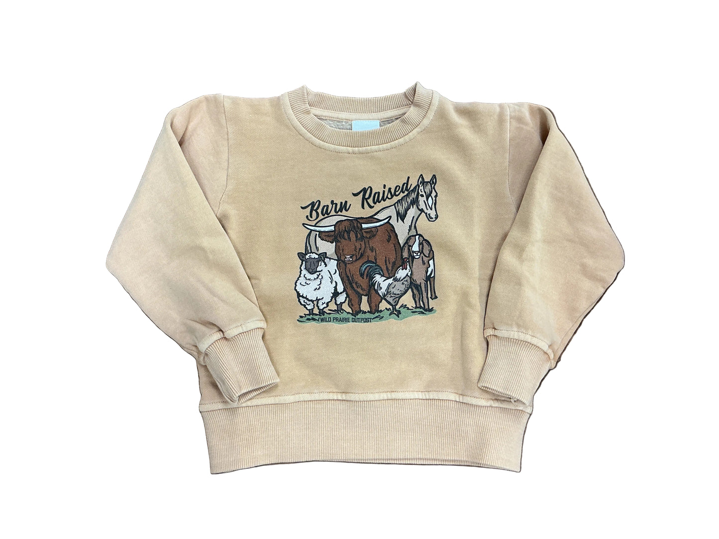 Barn Raised Kids Crewneck