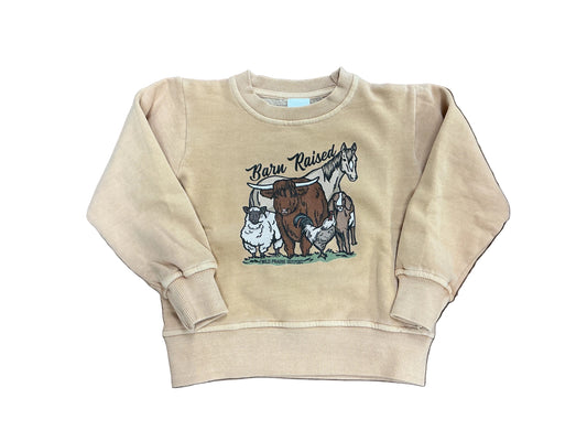Barn Raised Kids Crewneck