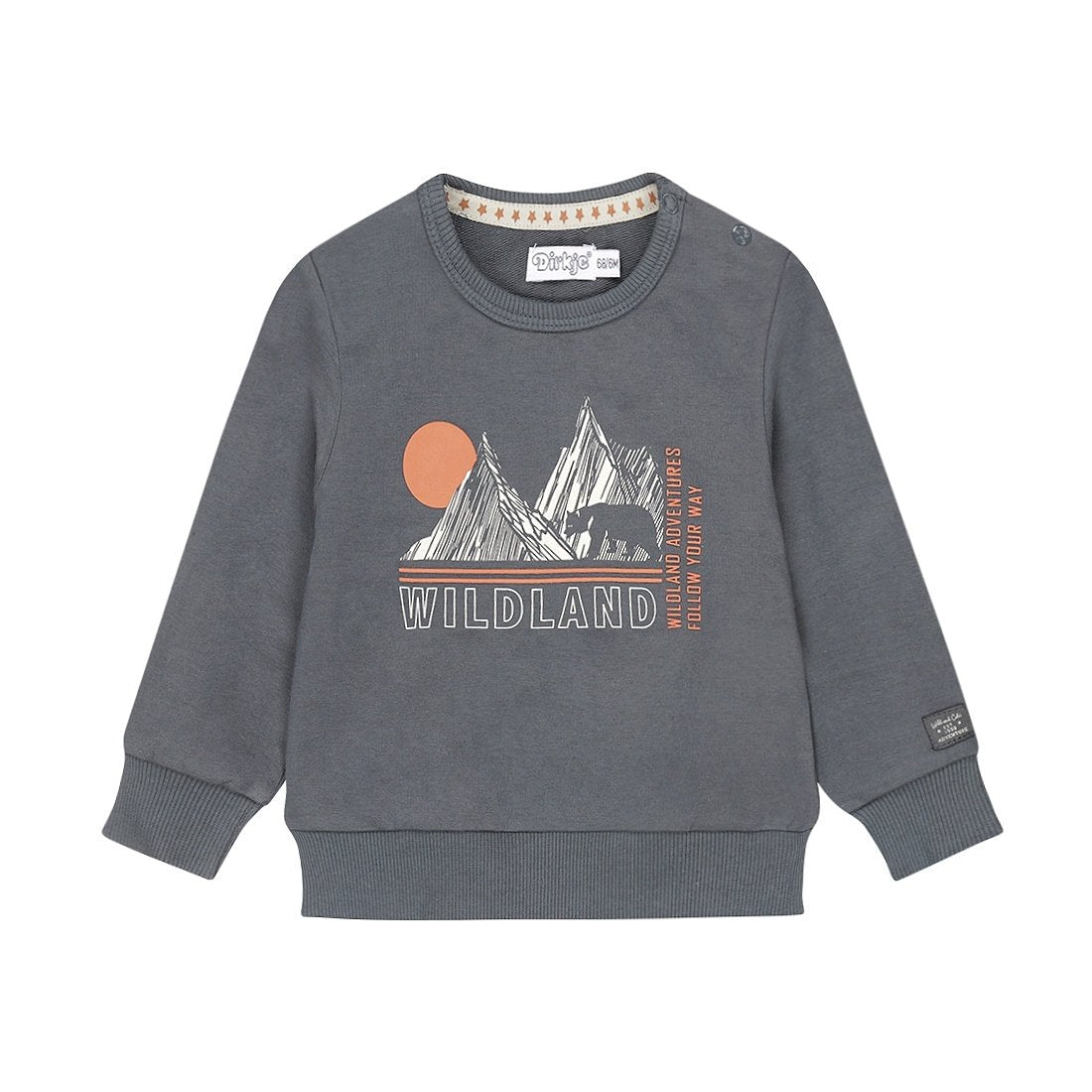“Wild Land” Navy Pullover