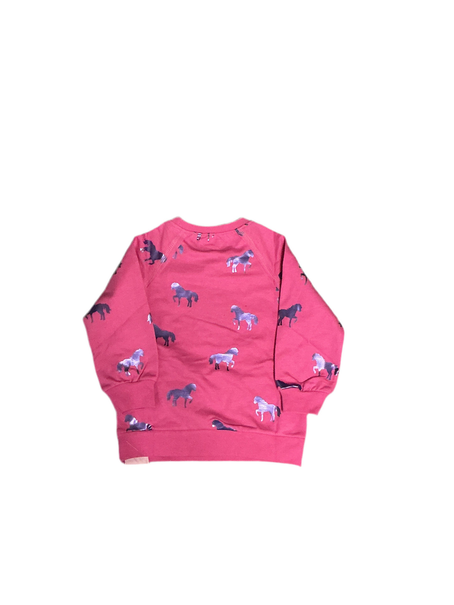 Shimmer Horse Pullover