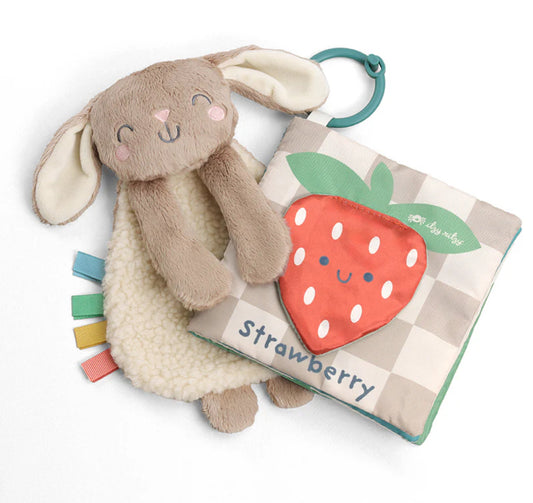 Itzy Learn & Snuggle Gift Set