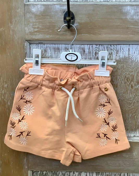 Embroidered Floral Ruffle Shorts
