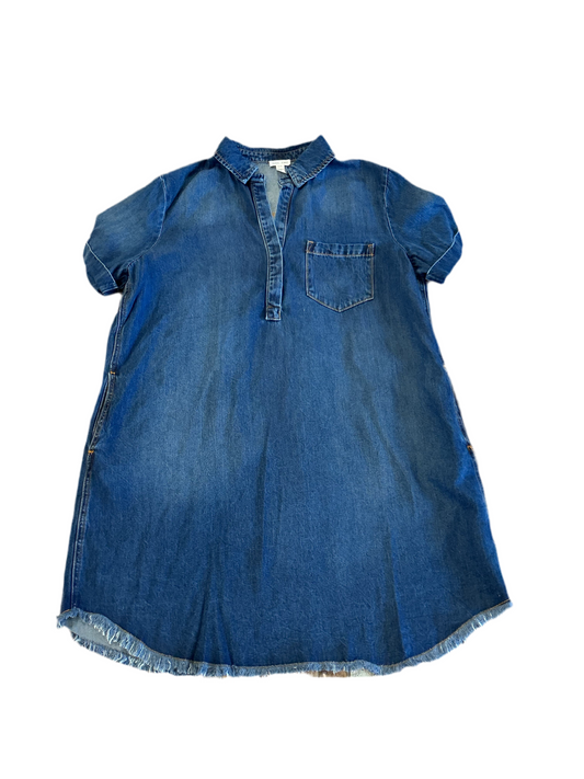 Denim Tunic Dress