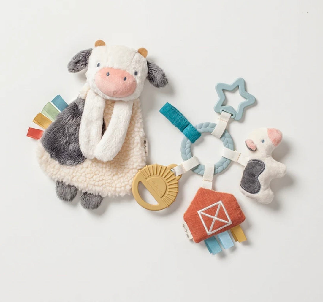 Itzy Learn & Snuggle Gift Set