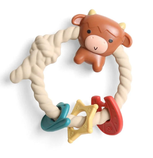 Ritzy rattle teether